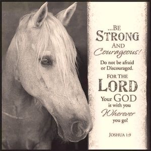 Meet your Posher, Cyndie